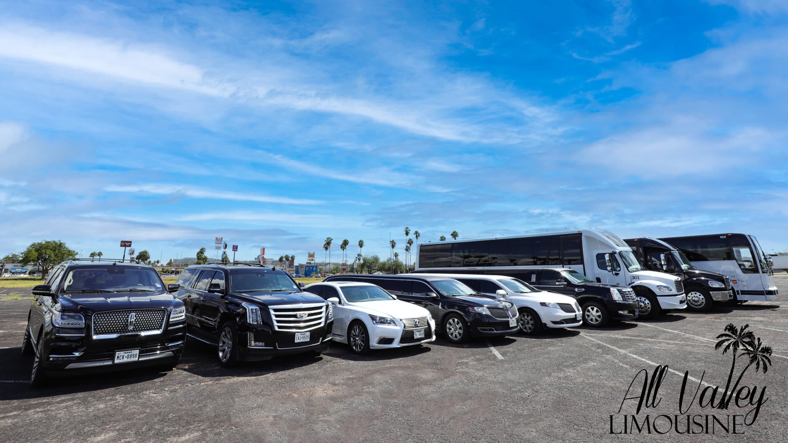 All Valley Limousine Fleet